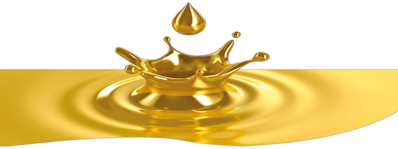 Compro oro Venezia Logo